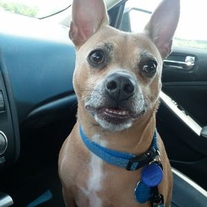 Meet your Posher, Jennifer